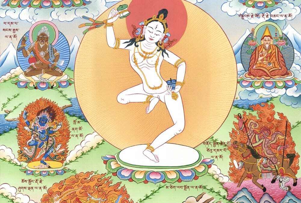 Feeding Not Fighting